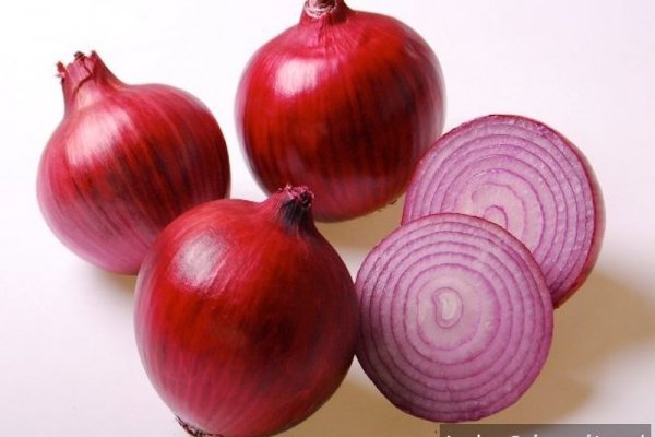 Https krakenruzxpnew4af onion tor com