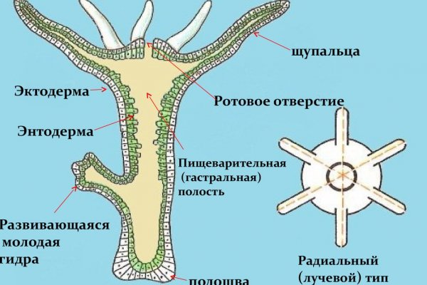 Новый домен кракена v3