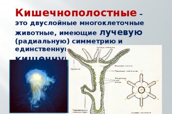 Как приобрести биткоины на сайте блэкспрут