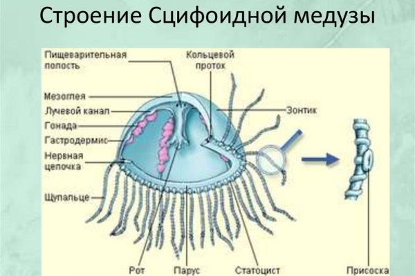 Ссылка на кракен онион