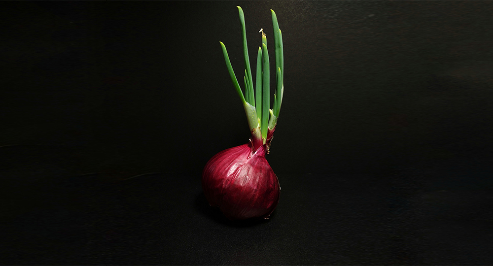 Кракен krakenruzxpnew4af onion